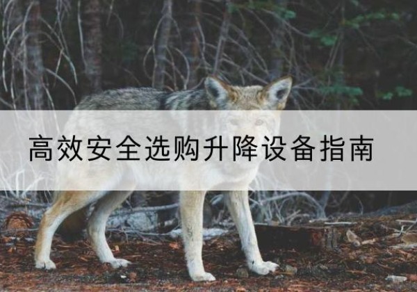 北戴河升降货梯厂家推荐-*安全选购升降设备指南