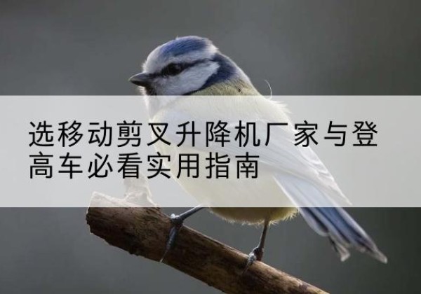 北戴河电动升降机厂家-选移动剪叉升降机厂家与登高车必看实用指南