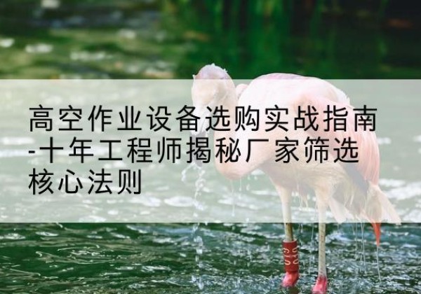 北戴河剪叉式升降机厂家-高空作业设备选购实战指南-十年工程师揭秘厂家筛选核心法则